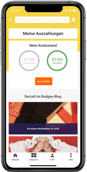 budgey-app-uebersicht-einnahmen